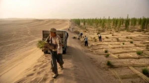 China’s Billion-Tree Project: How Massive Reforestation Helped Slow the Gobi Desert